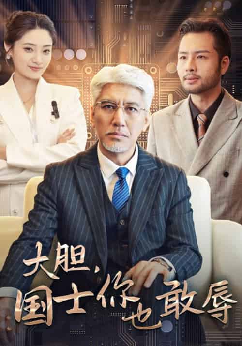 大胆，国士你也敢辱待改名（30集全）林振国＆萧晴川-紫橙资源网