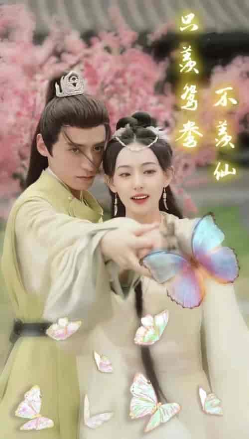 只羡鸳鸯不羡仙（婚后侯爷宠妻无度）（88集）-紫橙资源网