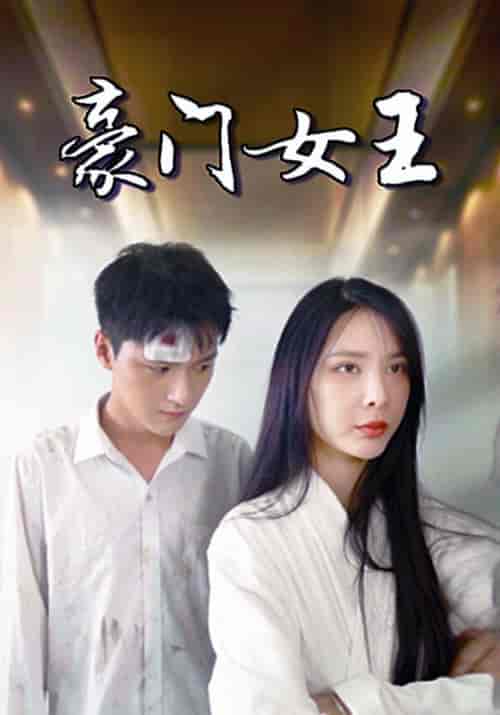 豪门女王(105集全)叶一凡&贺双双-紫橙资源网