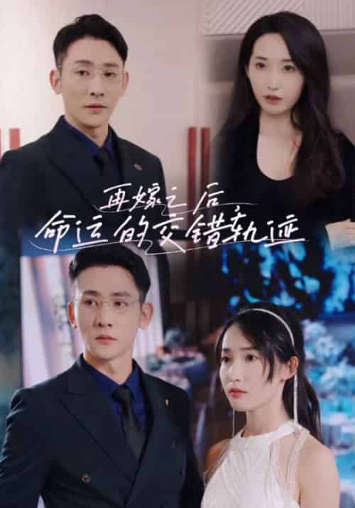 再嫁之后，命运的交错轨迹（95集全）周自横＆林清觅-紫橙资源网