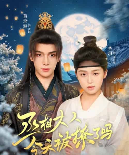 丞相大人今天被撩了吗(80集)楚玥&蔡承源-紫橙资源网