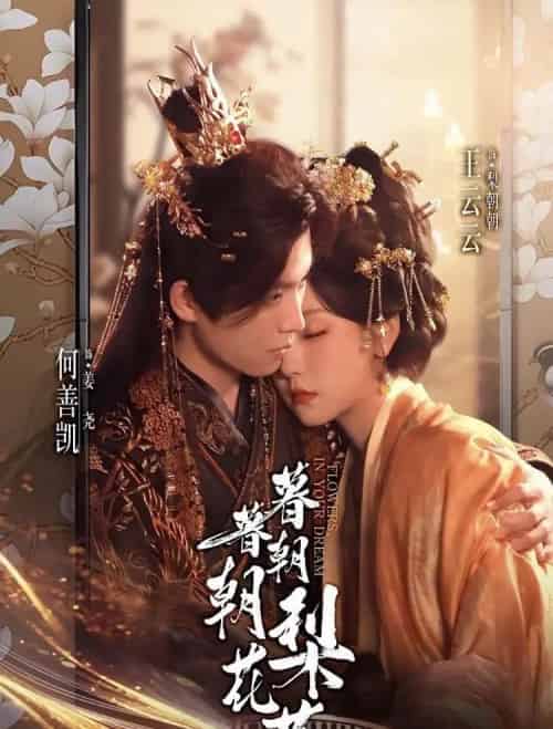 暮暮朝朝梨花落(99集全)何善凯&王云云(彩彩云)-紫橙资源网