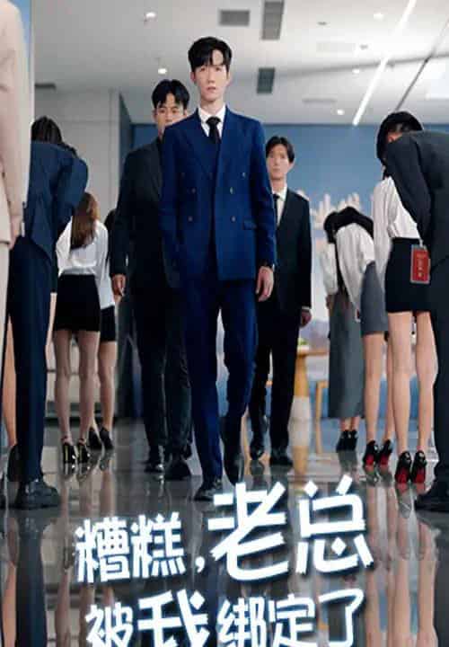 糟糕老总被我绑定了（63集全）李林轩＆吴帆-紫橙资源网