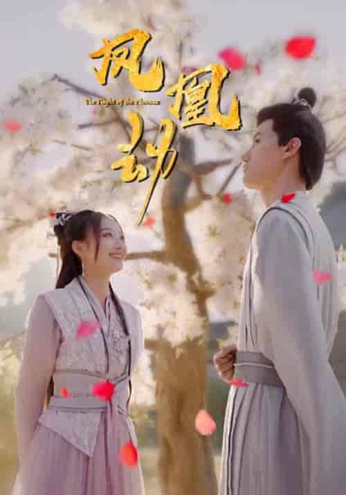 凤凰劫（98集）-紫橙资源网