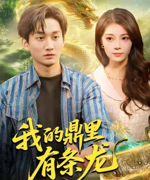 我的鼎里有条龙（83集全）黄小黄＆李默-紫橙资源网