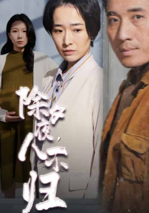 除夕夜，人不归（47集全）林逸＆赵南一-紫橙资源网