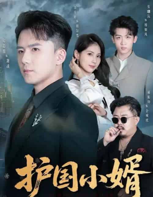 护国小婿（60集全）李佳轩＆赵志盟-紫橙资源网