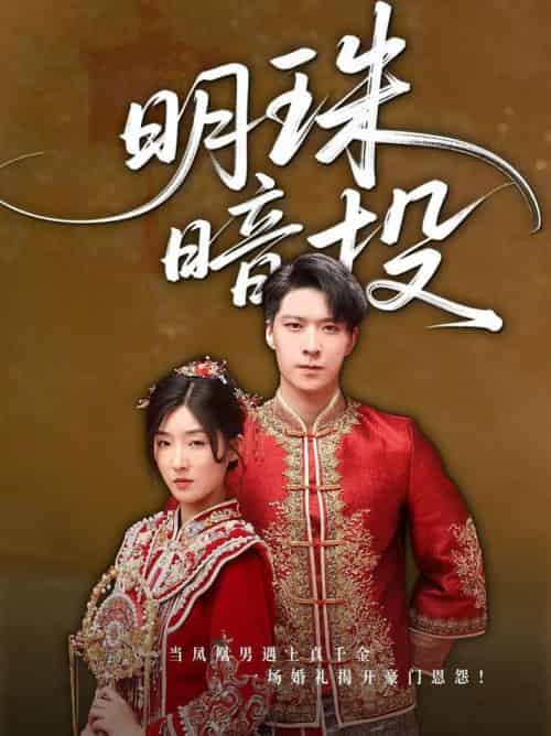 明珠暗投（60集全）牛静婕-紫橙资源网