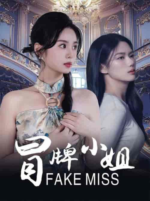 冒牌小姐（32集全）-紫橙资源网