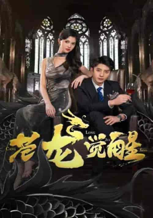 苍龙觉醒（100集）-紫橙资源网