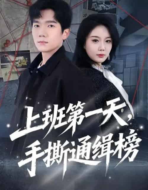 上班第一天，手撕通缉榜（79集全）文艺贞＆彭瑞风-紫橙资源网