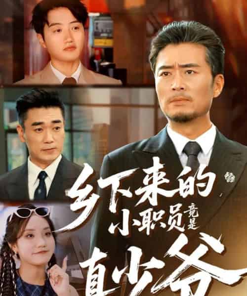 乡下来的小职员竟是真少爷（85集全）丁磊＆高晟-紫橙资源网