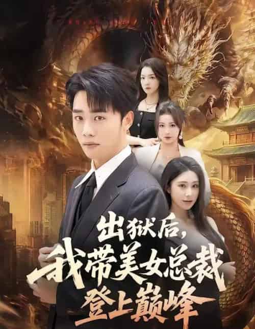 出狱后,我带美女总裁登上巅峰(80集全)张婉悦&程勇炜-紫橙资源网