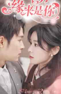 新版:缘来是你(77集)-紫橙资源网