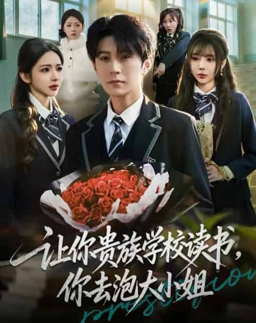 让你贵族学校读书,你去泡大小姐(71集全)月野兔&李河源-紫橙资源网