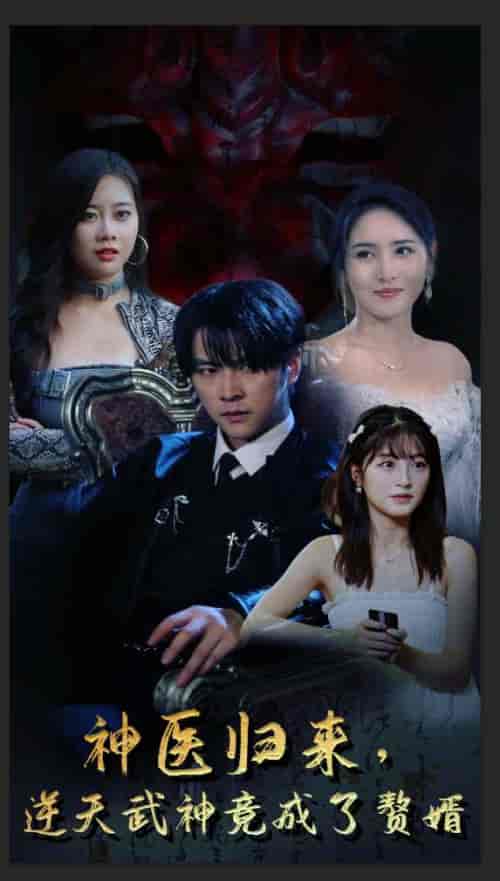神医归来，逆天武神竟成了赘婿（80集）-紫橙资源网