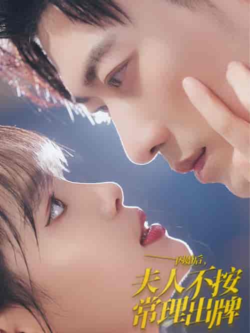 闪婚后夫人不按常理出牌(80集全)于龙&杨咩咩-紫橙资源网