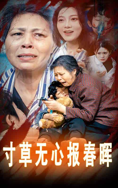 寸草无心报春晖＆孝子慈孙（31集全） - 紫橙短剧