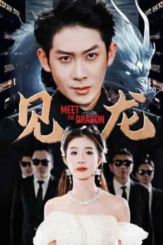 见龙（78集）-紫橙资源网