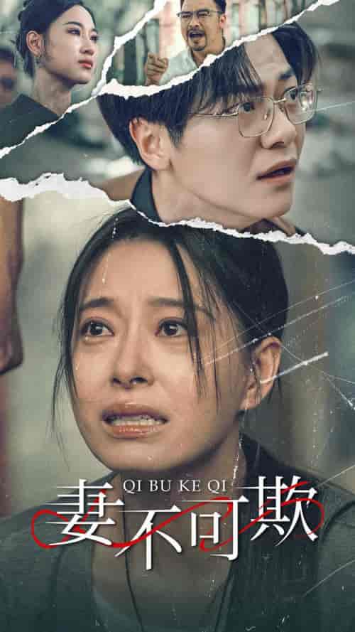 妻不可欺（51集）-紫橙资源网