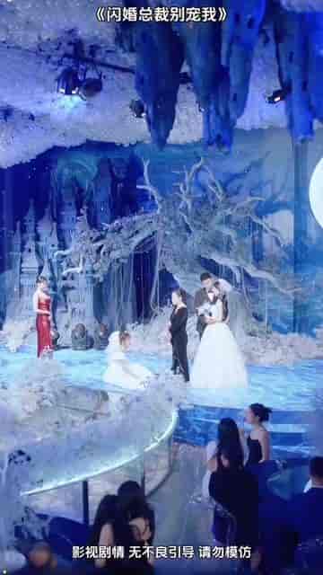 闪婚总裁别宠我(73集)-紫橙资源网