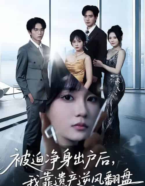 被迫净身出户后，我靠遗产逆风翻盘（40集全）李恩铭＆彭慧玲-紫橙资源网