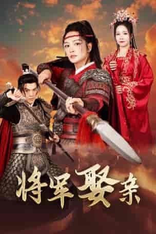 将军娶亲（36集全）-紫橙资源网