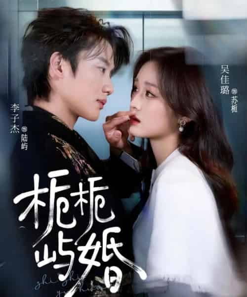 栀栀屿婚（77集全）李子杰＆吴佳璐-紫橙资源网