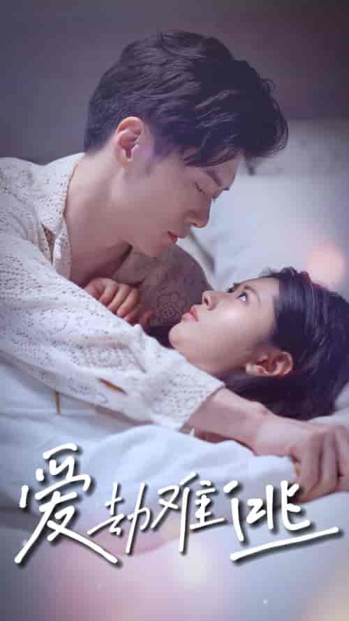 爱劫难逃（93集）-紫橙资源网