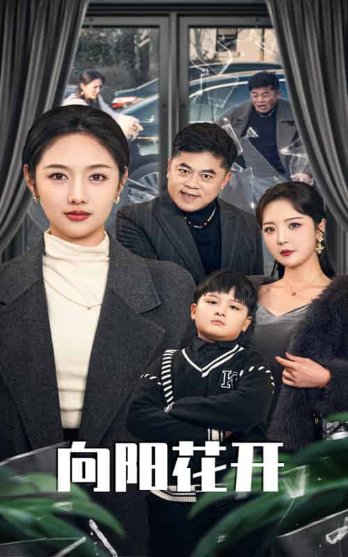 溺爱的代价＆向阳花开（40集全）李媛菁＆李明-紫橙资源网