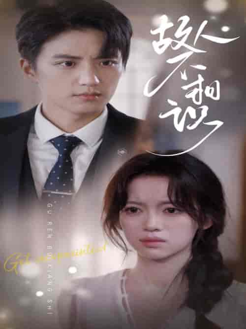 故人不相识(80集)-紫橙资源网