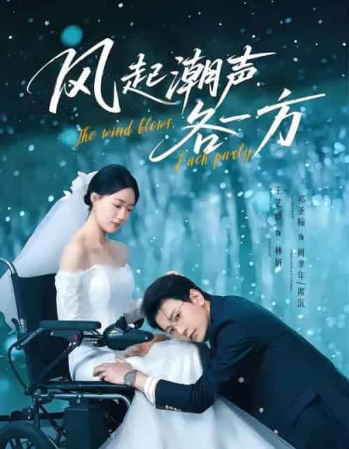 风起潮声各一方（84集全）祁圣翰＆王艺舒-紫橙资源网
