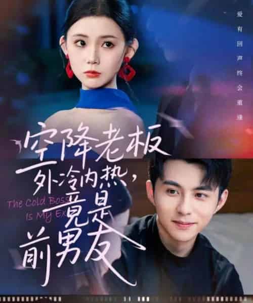 空降老板外冷内热,竟是前男友(76集全)李可乐&李丫丫-紫橙资源网