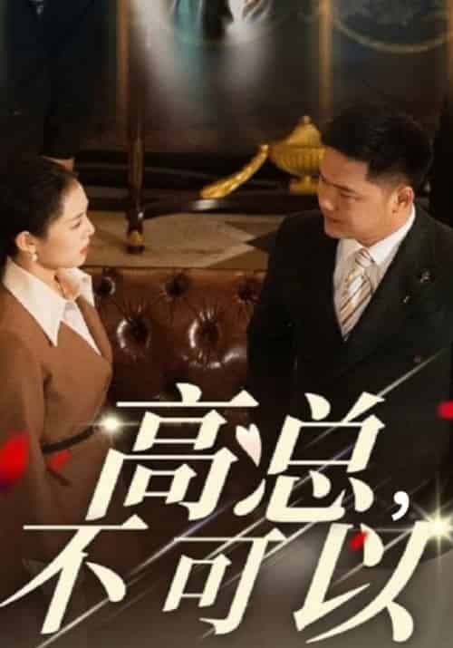高总,不可以(45集全)高天武&白知微-紫橙资源网