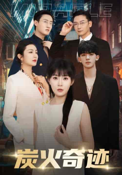 炭火奇迹（70集）-紫橙资源网