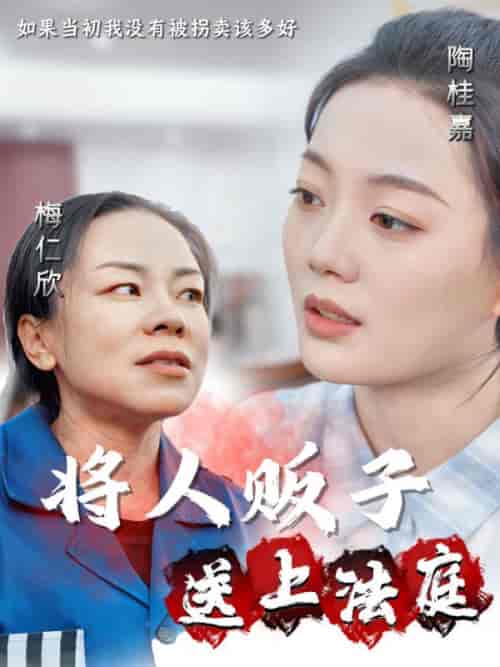 将人贩子送上法庭（30集全）-紫橙资源网