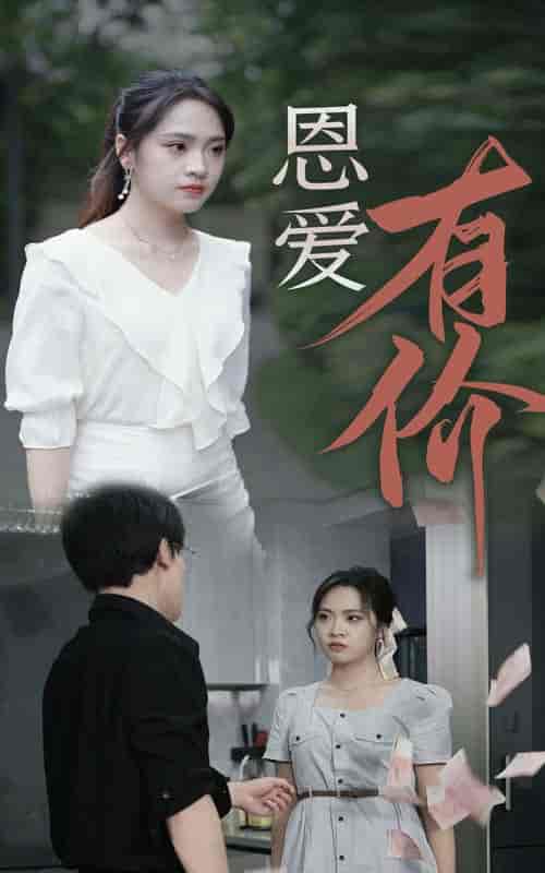 恩爱有价（31集）-紫橙资源网