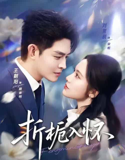 折栀入怀(82集全)王朝阳&刘昱辰-紫橙资源网