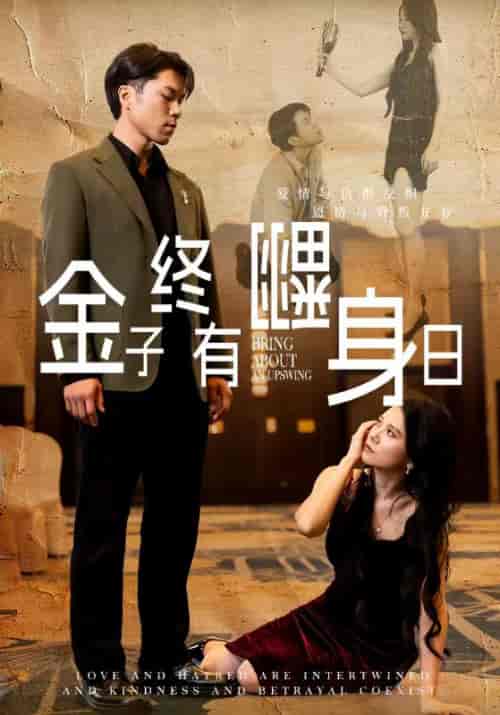 金子终有翻身日（69集全）贺东＆师念-紫橙资源网