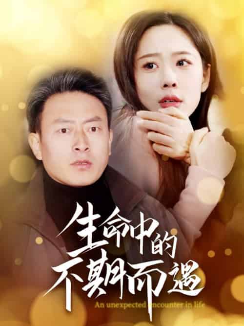 生命中的不期而遇（35集全）-紫橙资源网