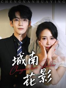城南花影(45集全)李嘉豪&惠一秋-紫橙资源网