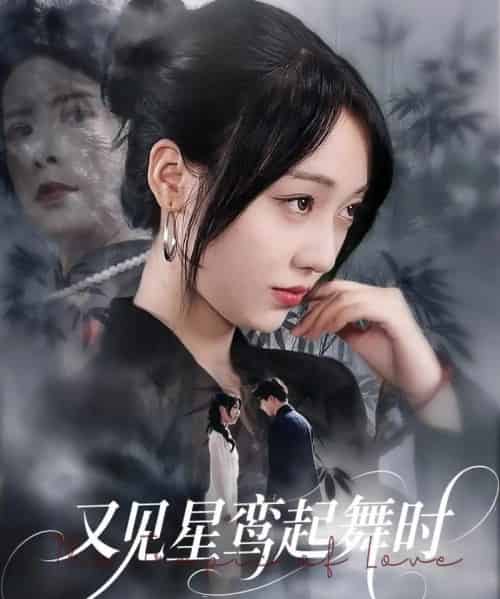 又见星鸾起舞时（85集）周恒宇＆李灼一-紫橙资源网