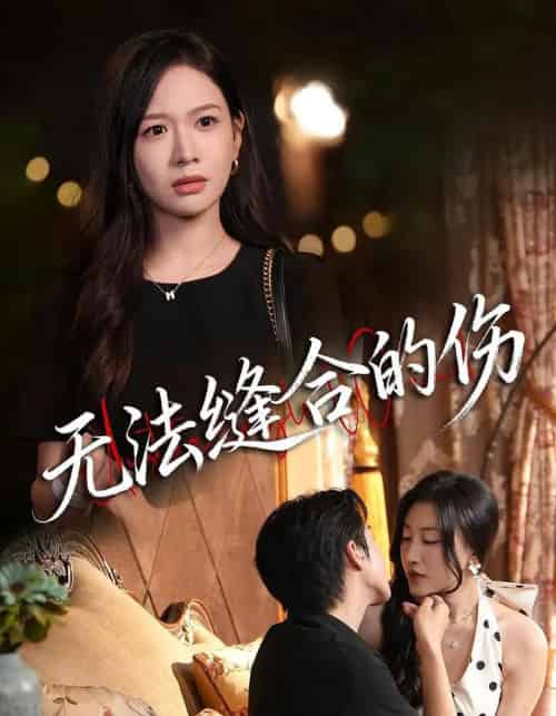 无法缝合的伤（45集全）王琳惠＆天天-紫橙资源网