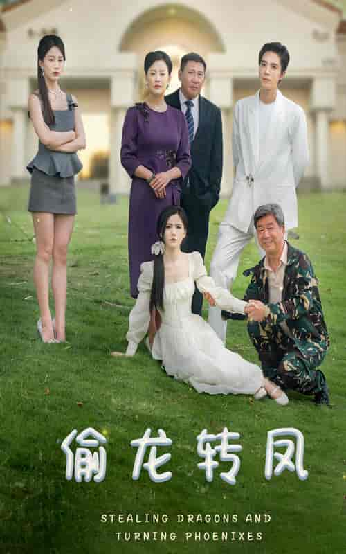 偷龙转凤(80集)-紫橙资源网