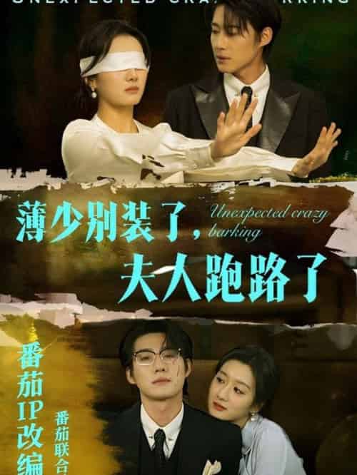 薄少别装了夫人跑路了（60集全）赵振栋＆柳卓青-紫橙资源网