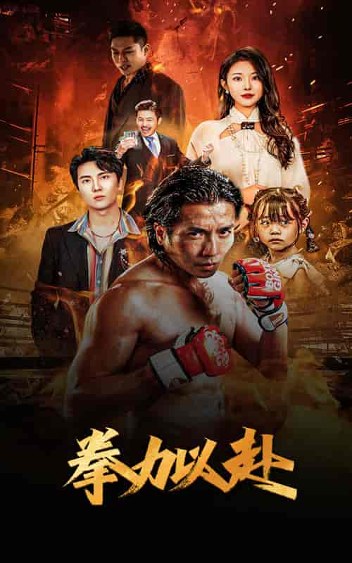 新版：拳力以赴＆哭泣的拳头（75集）-紫橙资源网