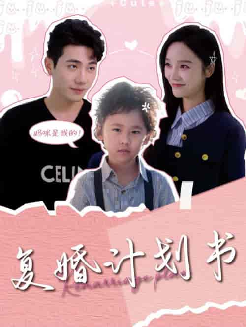 复婚计划书(96集全)李铂一&李胜楠-紫橙资源网