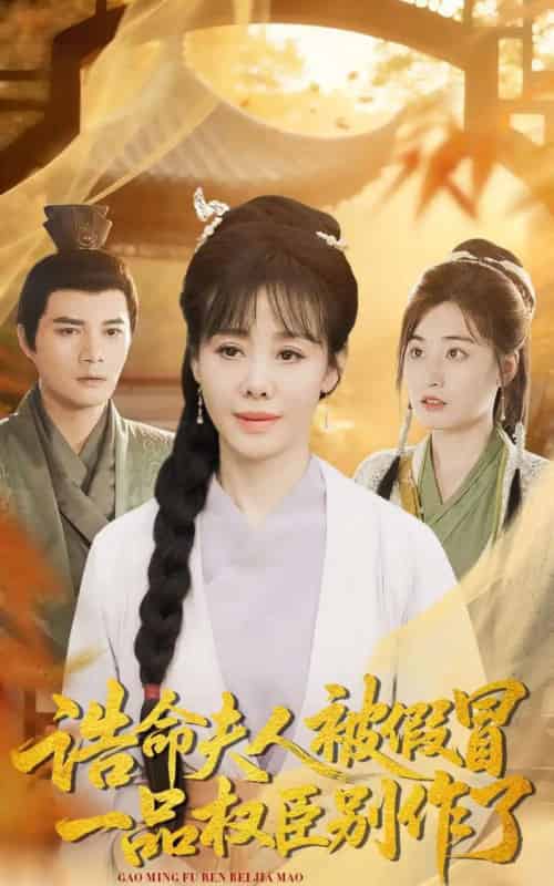 诰命夫人被假冒，一品权臣别作了（98集全）王铮＆黄骞-紫橙资源网