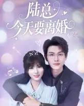 陆总今天要离婚（81集）陈凯洲＆李泫逸-紫橙资源网