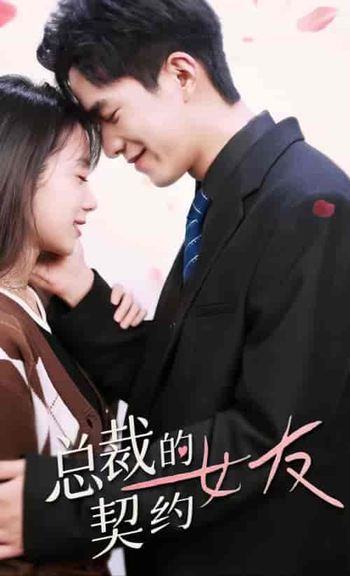 总裁的契约女友(100集)-紫橙资源网